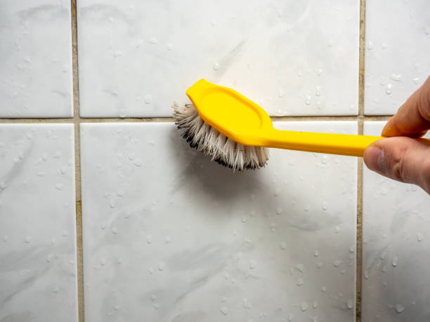 Best Mold Damage Repair  in Sheboygan, WI
